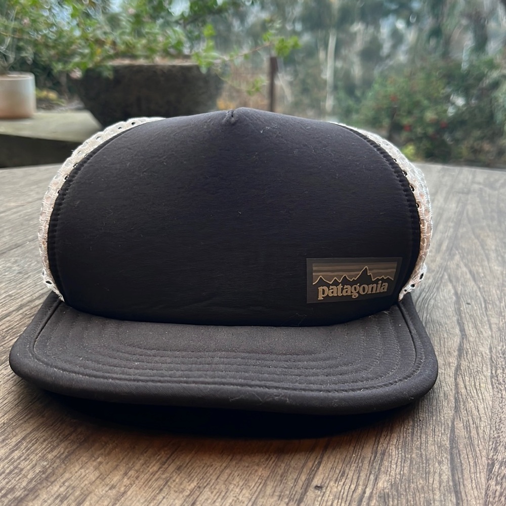 Patagonia Cap